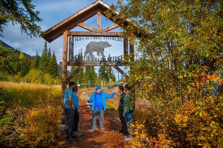 Grizzly Bear Viewing & Yoho National Park Day Trip from Banff photo 3