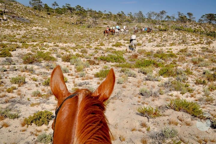 Horseback Riding on Comporta Beach — Horses In The Sand (Melides) photo 4