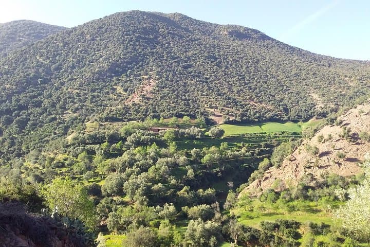 Ouirgane Valley Day Trip from Marrakech: Berber Villages & Atlas Views photo 4