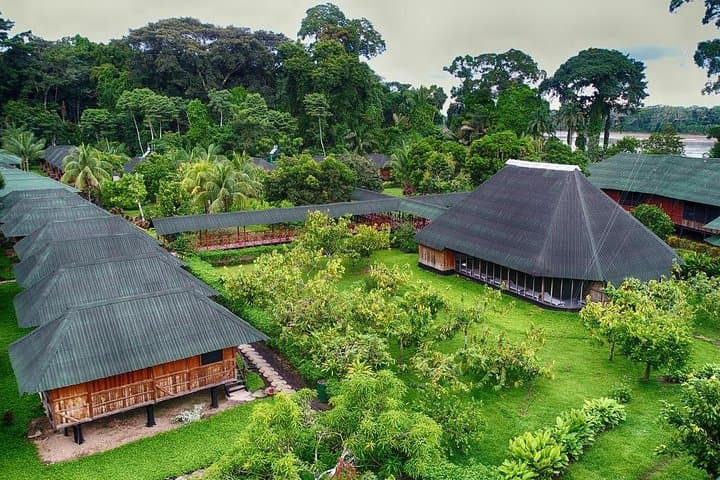 3-Day Amazon Jungle Tour at Eco Amazonia Lodge — Madre de Dios Wildlife & River Excursions photo 4
