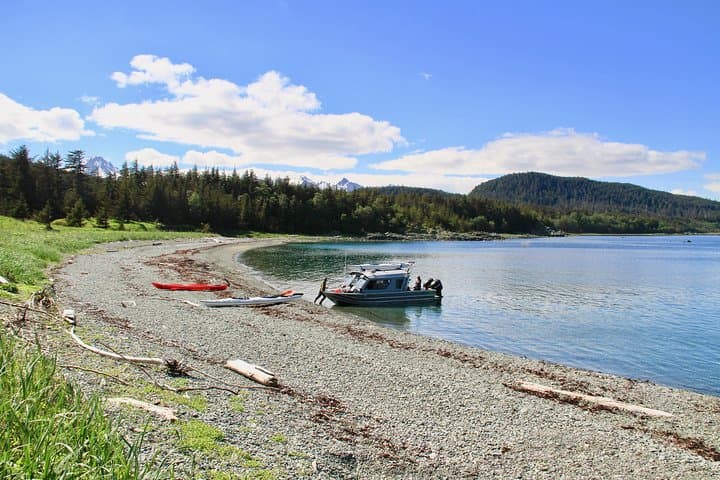 Paddle with Whales: An Immersive Kayak Adventure in Juneau's Inside Passage photo 6