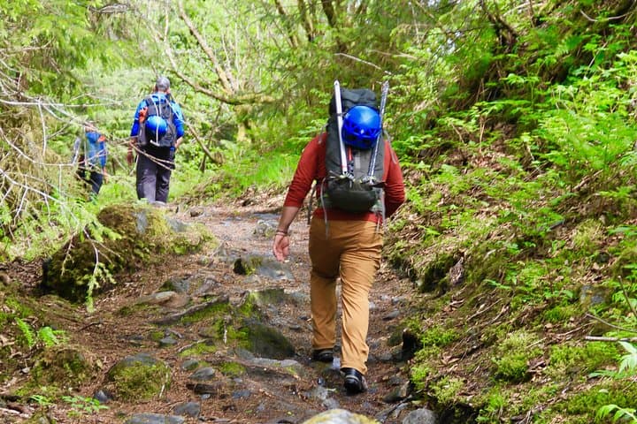 Mendenhall Glacier Guided Hike — Trek to Glacier Views from Juneau photo 3