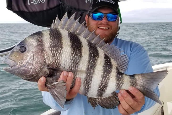 Daytona Inshore Fishing Charter: Halifax River Redfish, Tarpon & Dolphin Encounters photo 5