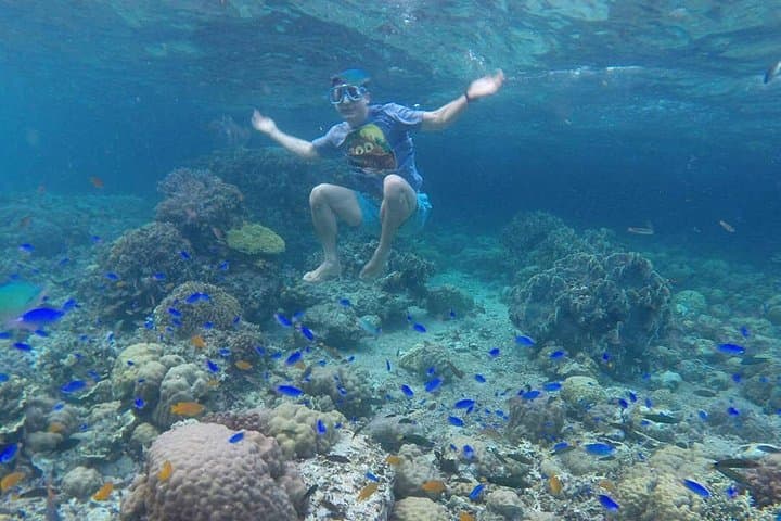Moalboal Sardines and Kawasan Canyoneering: Snorkel with Turtles and Canyon Jumping photo 3