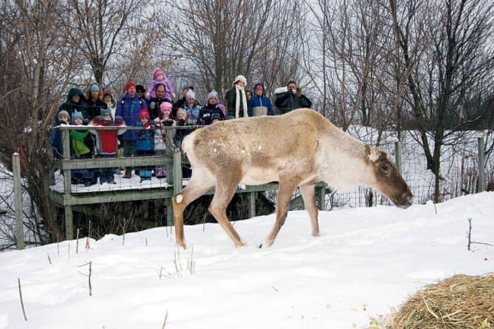 Montreal Ecomuseum Zoo Private Half-Day Tour: West Island Wildlife Walk photo 2