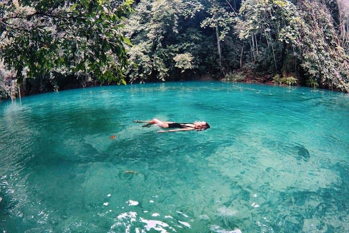 Oslob Whale Shark Swim & Kawasan Falls Day Tour — Swim with Gentle Giants and Cool Off in Blue Pools photo 6