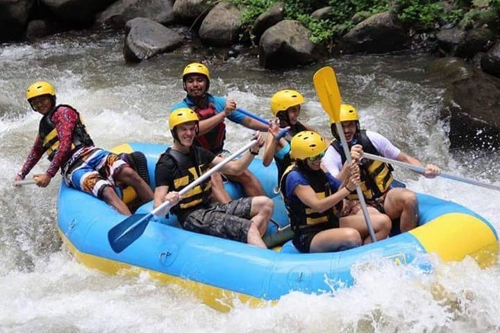 Ubud Swing and Ayung River Rafting: Full-Day Adventure in Bali photo 6