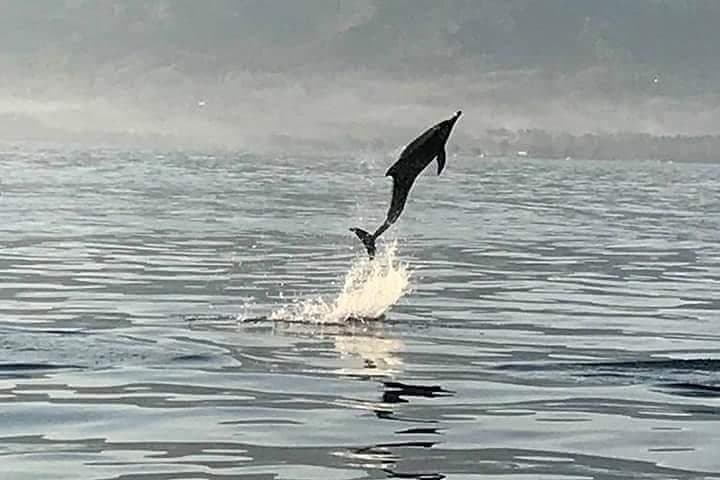Experience Sunrise and Dolphins at Lovina Beach
