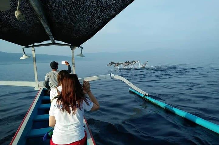 Experience Sunrise and Dolphins at Lovina Beach photo 2