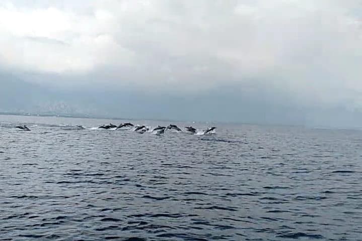 Experience Sunrise and Dolphins at Lovina Beach photo 3