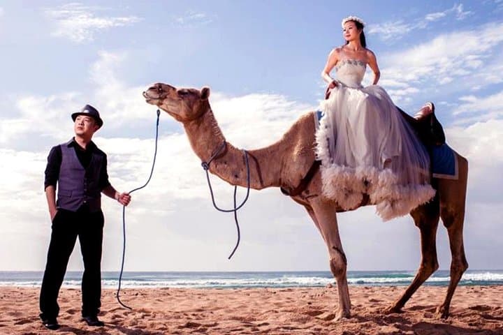 Bali Camel Ride on Nusa Dua Beach — Photo Session Guide