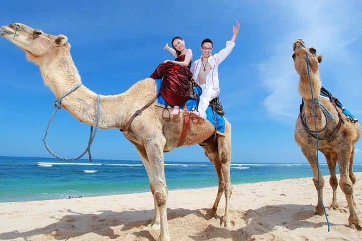 Bali Camel Ride on Nusa Dua Beach — Photo Session Guide photo 2