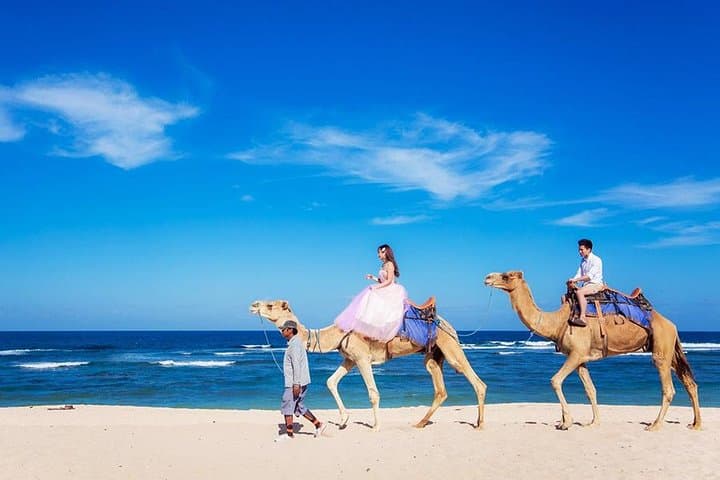 Bali Camel Ride on Nusa Dua Beach — Photo Session Guide photo 4