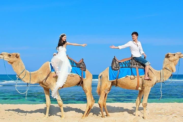 Bali Camel Ride on Nusa Dua Beach — Photo Session Guide photo 5