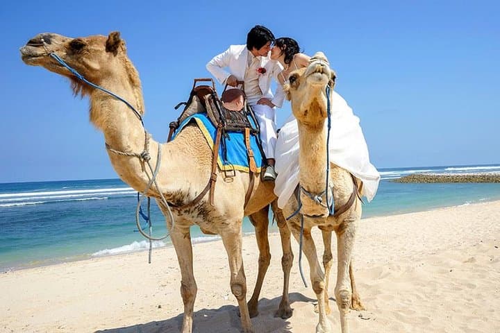 Bali Camel Ride on Nusa Dua Beach — Photo Session Guide photo 6