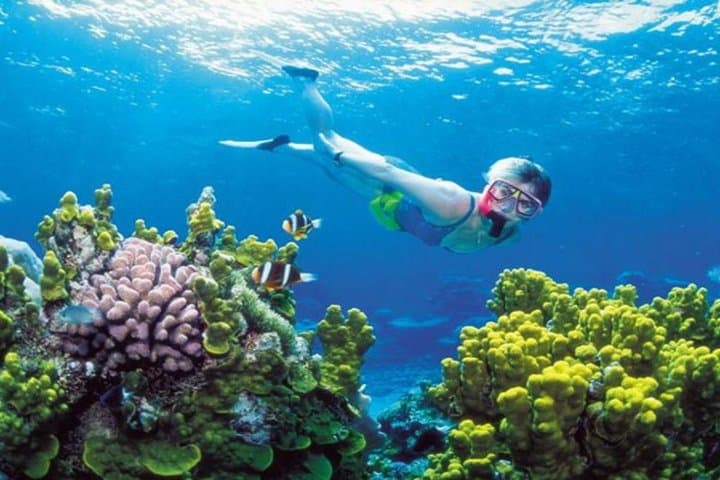 Phu Quoc Discovery: 3-Day Snorkel, Fishing & Night Squid Adventure photo 3