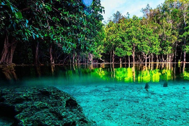 Half-Day Jungle Tour to Emerald Pool and Krabi Hot Spring | Klong Thom Nature Trail photo 3