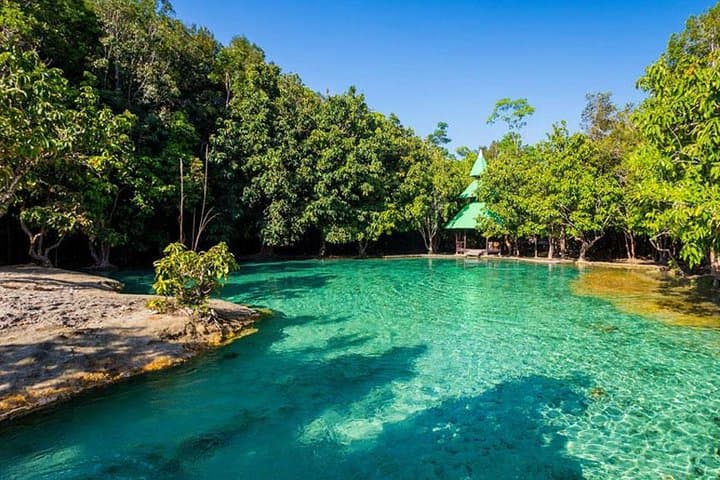 Half-Day Jungle Tour to Emerald Pool and Krabi Hot Spring | Klong Thom Nature Trail photo 4