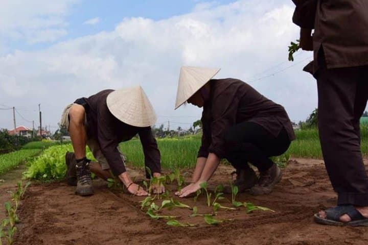 Tra Que Vegetable Village Cooking Class — Hoi An Farm-to-Table Experience photo 5