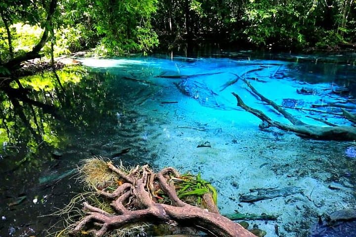 Half-Day Jungle Tour to Emerald Pool and Krabi Hot Spring | Klong Thom Nature Trail