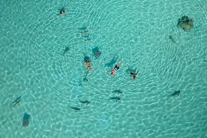 Half-Day Moorea Snorkel & Sail: Catamaran Taboo Lagoon Cruise photo 6