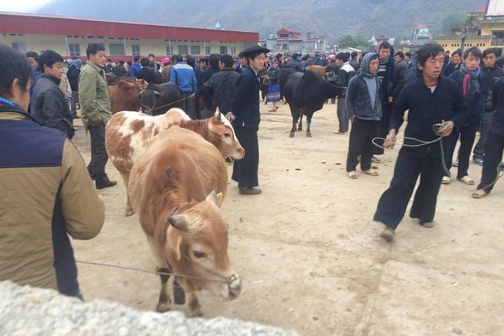 3-Day Ha Giang Loop: Ma Pi Leng Pass, Dong Van Plateau & Ethnic Homestays photo 4