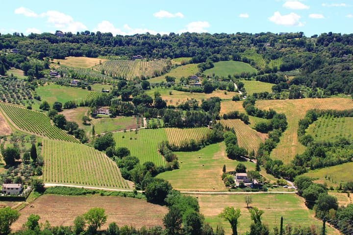 Orvieto & Civita di Bagnoregio: Private Day Trip from Rome to the Dying City photo 3