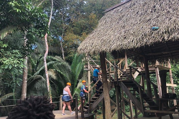 Belize City Jungle Zip Line & Rum Factory Adventure photo 2