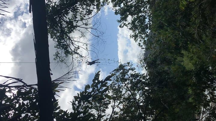 Belize City Jungle Zip Line & Rum Factory Adventure photo 6