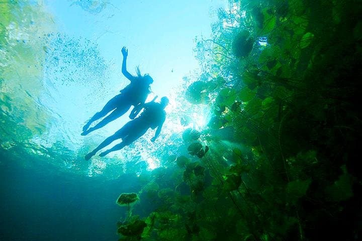 Xenotes Cenote Route: 4-Cenote Adventure from Cancun photo 5