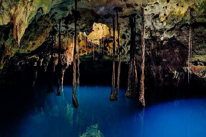 Xenotes Cenote Route: 4-Cenote Adventure from Cancun