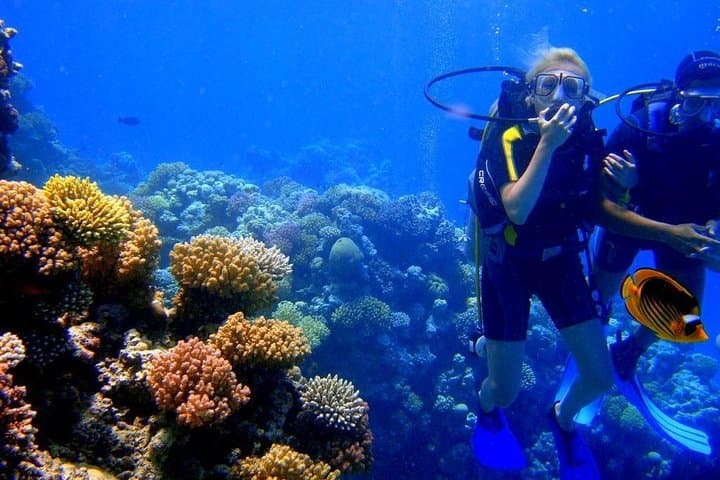 Red Sea Scuba Diving from Marsa Alam — 2-Stop Boat Trip with Lunch photo 5
