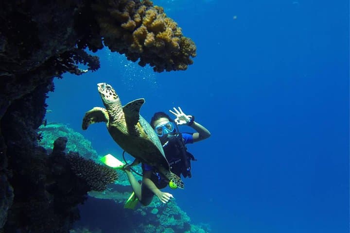 Red Sea Scuba Diving from Marsa Alam — 2-Stop Boat Trip with Lunch