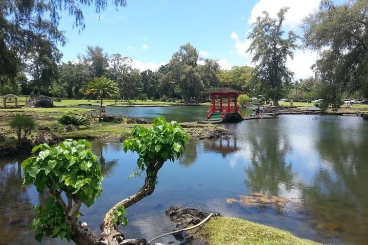 Explore Hawaii’s Fiery Heart: Volcano Adventure Tour from Hilo Harbor photo 4