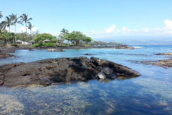 Explore Hawaii’s Fiery Heart: Volcano Adventure Tour from Hilo Harbor photo 6