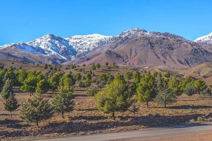 Marrakech to Chigaga Dunes: 3-Day Camel Trek, Sandboarding & Berber Camp photo 6