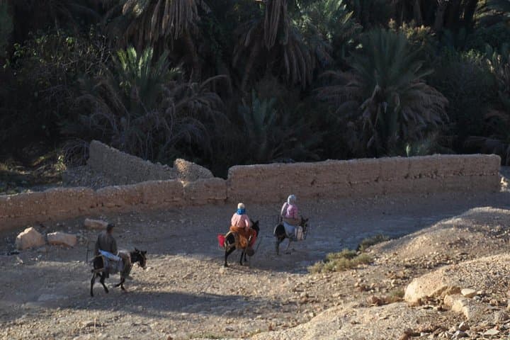 Three-Day Active Trekking from Fez: Atlas Mountains & Berber Villages photo 4