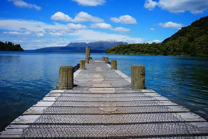 Rotorua Lakes & Falls: A Half-Day Small-Group Tour of Springs, Forests, and Tarawera