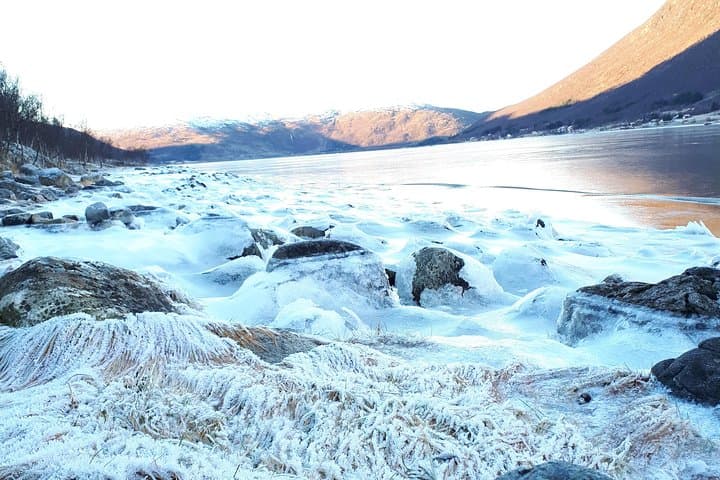 Fjord, Mountain and Wildlife Tour from Tromsø — Arctic Landscapes & Wildlife photo 5