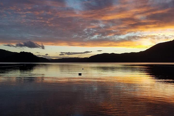 Rotorua Glow-worm Night Walk: Nocturnal Native Bush & Stargazing Tour photo 5