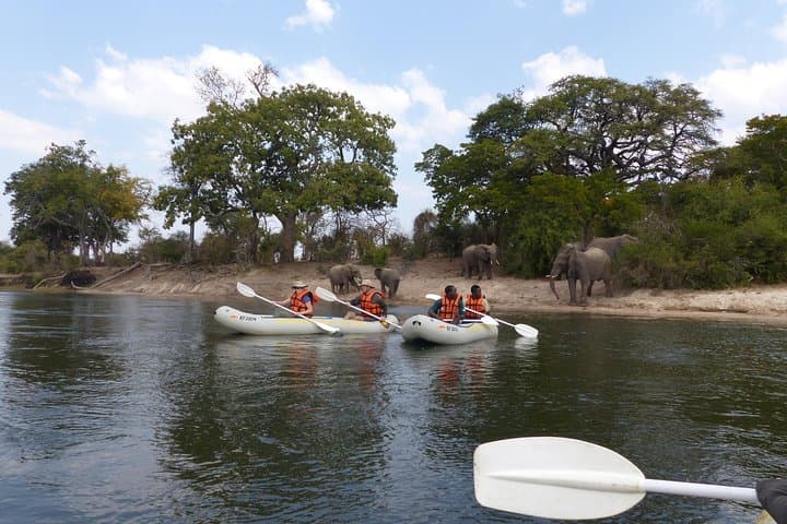 Upper Zambezi Canoeing: Day and Multi-Day Canoe Safaris from Victoria Falls photo 1