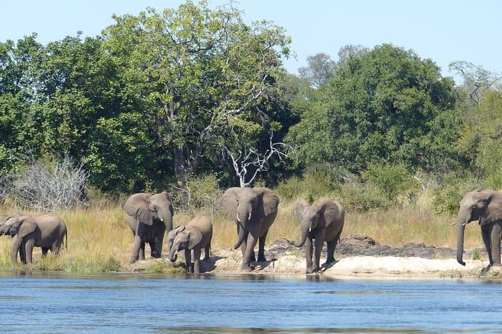 Upper Zambezi Canoeing: Day and Multi-Day Canoe Safaris from Victoria Falls photo 2