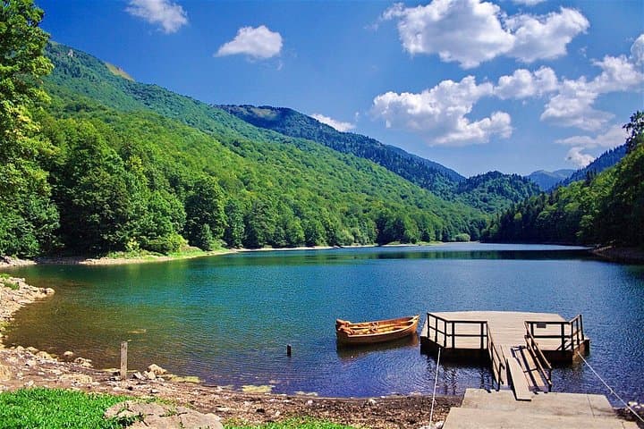 Biogradska Gora & Moraca Canyon: Day Tour from Tivat to Montenegro’s Green Heart