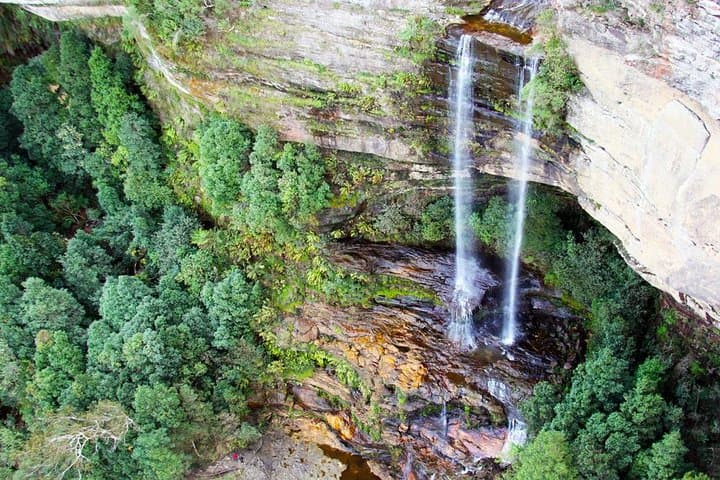 Blue Mountains Private Day Tour from Sydney — Three Sisters, Scenic World & Featherdale Wildlife Park photo 5