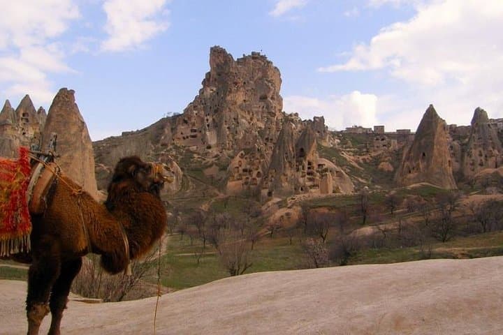 Cappadocia Camel Safari: Sunrise Camel Ride Among Fairy Chimneys photo 3