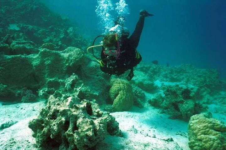 Red Sea 2‑Dive Boat Tour from Hurghada — Abu Ramada & Small Giftun photo 2
