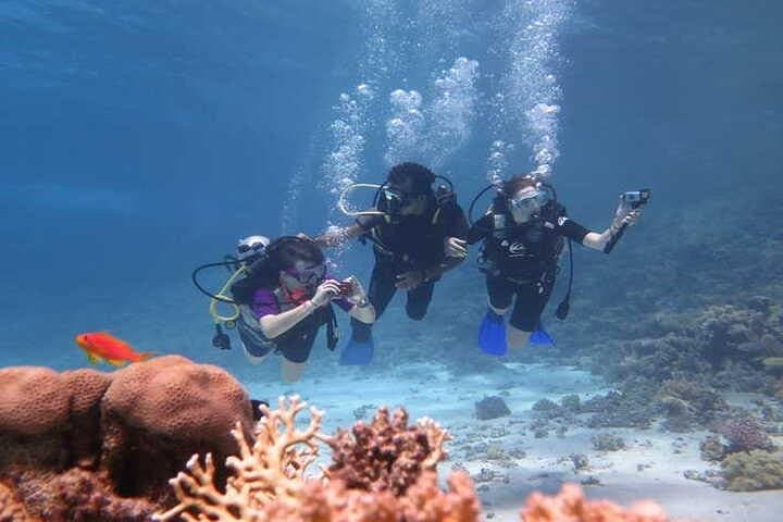Red Sea 2‑Dive Boat Tour from Hurghada — Abu Ramada & Small Giftun photo 3
