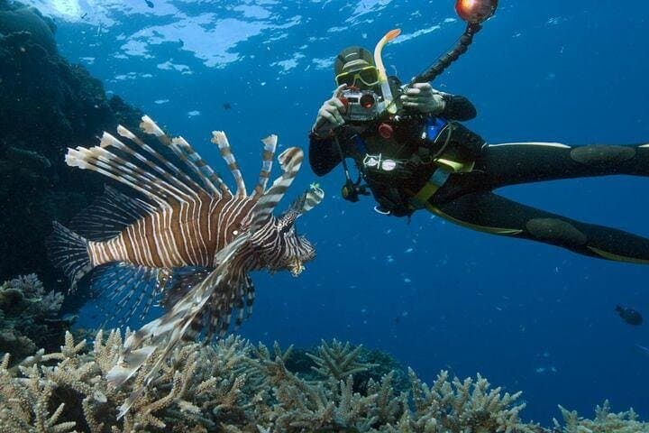Ras Mohammed National Park Snorkeling Boat Tour from Sharm El Sheikh photo 2