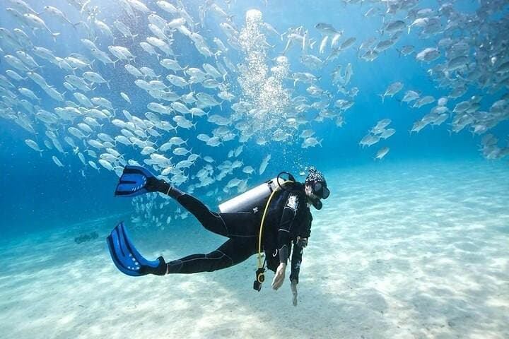 Ras Mohammed National Park Snorkeling Boat Tour from Sharm El Sheikh photo 3