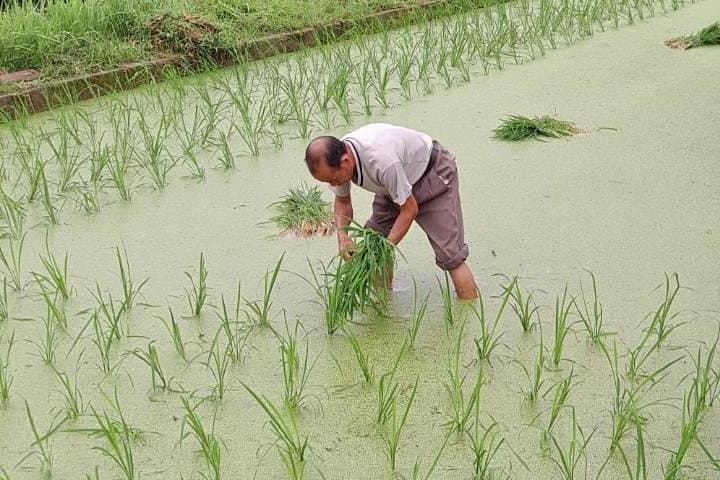 Chengyang Dong Village & Wind and Rain Bridge: Private Day Tour from Guilin photo 3